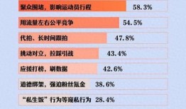 体育圈饭圈化,粉丝经济下的新现象解析